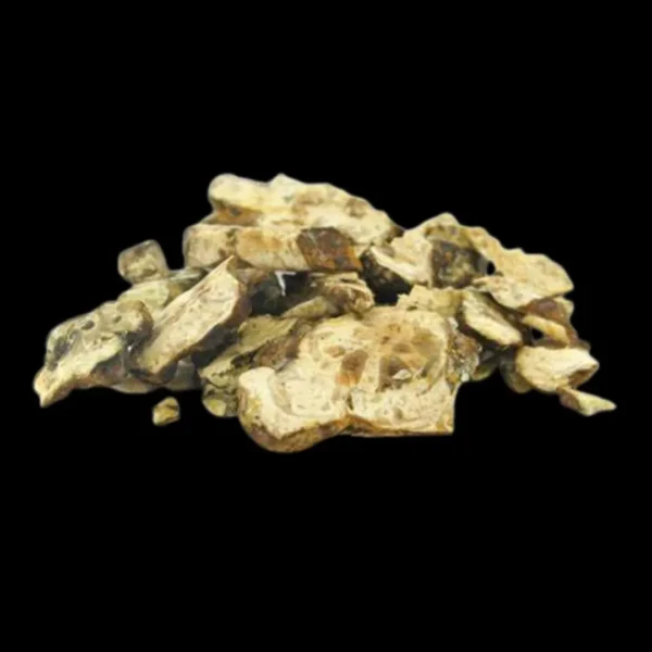 Trufas mágicas Psilocybe Utopia