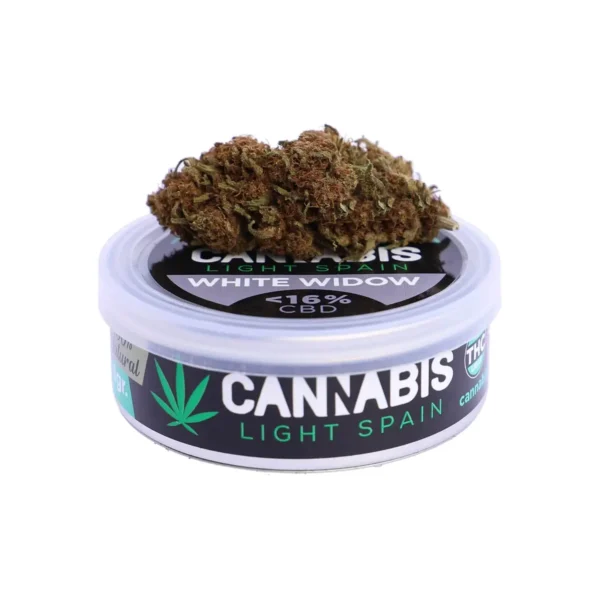 White Widow CBD (Greenhouse)