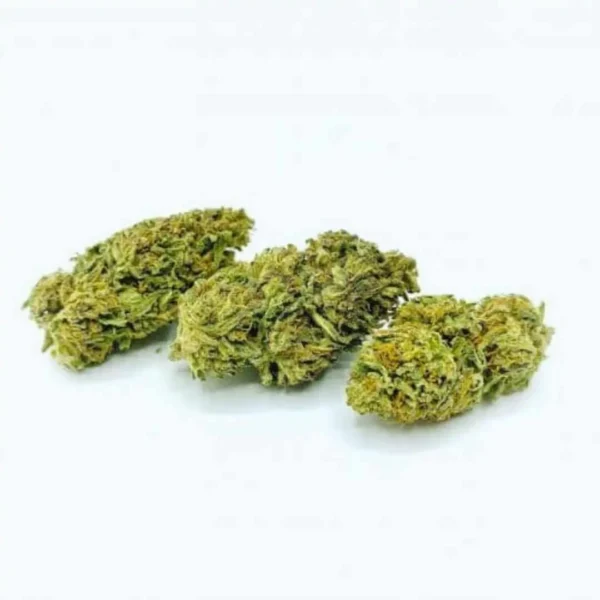 Amnesia Gold Indoor CLS