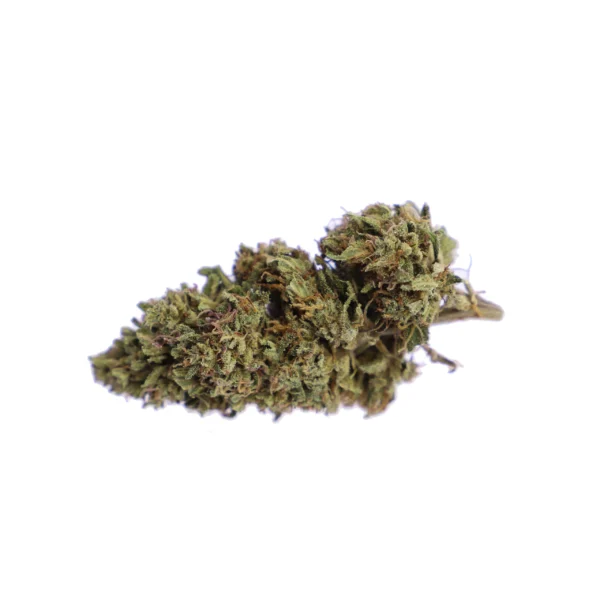 Kritical Bilbo Green House  CBD