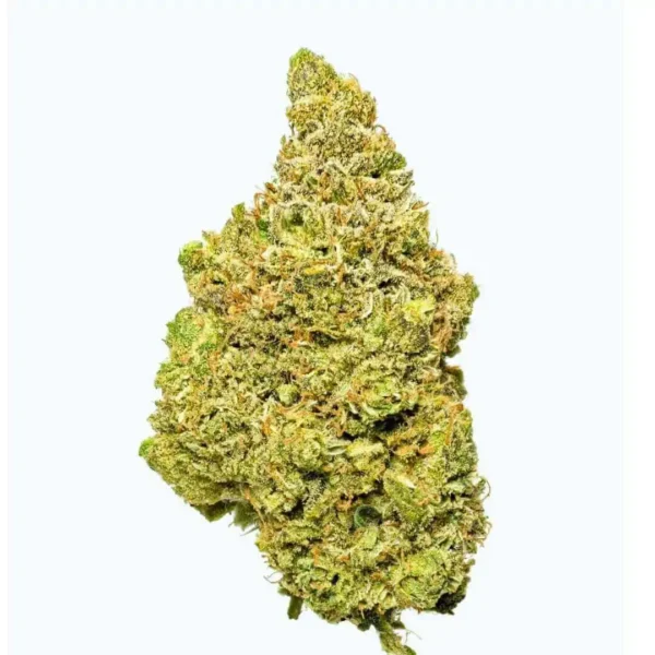 Gorilla Indoor Hidropónicas  CBD