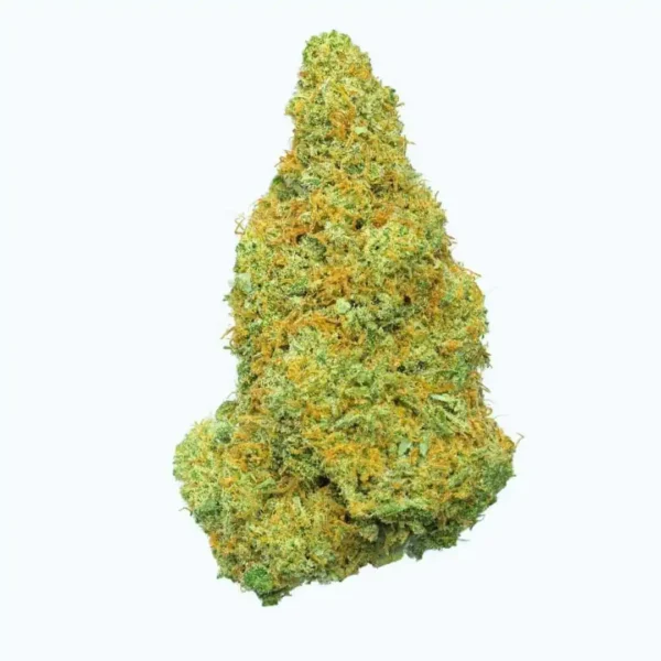 Mango Kush Indoor Hidropónicas  CBD