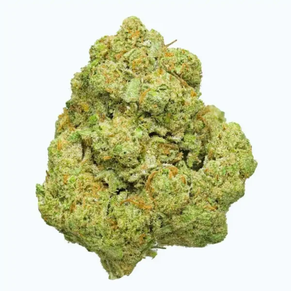 Og Kush Indoor Hidropónicas  CBD