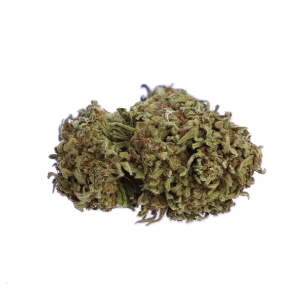 Tropicana Cookies Green House  CBD