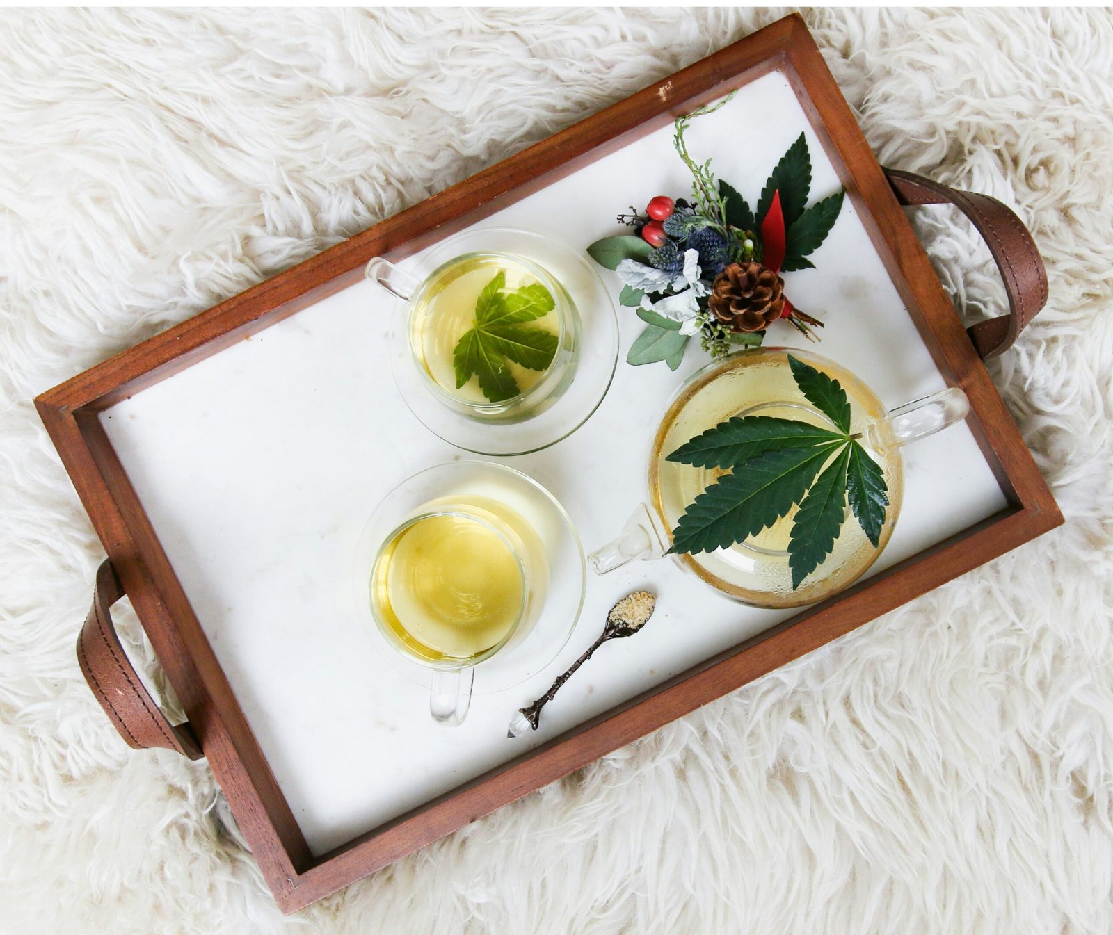 Infusiones